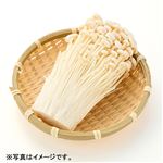 トップバリュグリーンアイオーガニック 新潟県などの国内産 えのき茸 100g 1袋