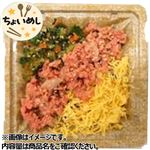 ちょいめし 鮭ごはん