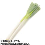 長野県などの国内産 白ねぎ束（2～3本）