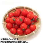 愛知県などの国内産 ミニトマト（美）230g 1パック