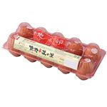 垣善 地養卵 10個入