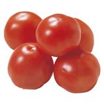 岐阜県などの国内産 トマト 箱（1kg）