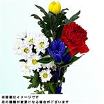 お供え花セット中 リンドウ 1束【置き楽配送不可】
