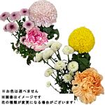 お供え花セット ミニ ひなた1束【置き楽配送指定不可】※お色は選べません