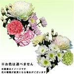 お供え花セット ミニ 夏の星1束【置き楽配送指定不可】※お色は選べません