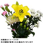 お供え花セット 夏扇1束【置き楽配送指定不可】