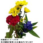 お供え花セット小 あかり 1束【置き楽配送不可】