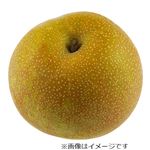 千葉県または茨城県などの国内産 なし（幸水）2Lサイズ 1個
