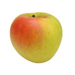 青森県などの国内産 ぐんま名月りんご 1個 【11月14日～11月16日のお受取り】