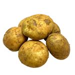 北海道などの国内産 じゃがいも特大袋 1袋 【11月28日～11月30日のお受取り】