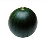 青森県などの国内産 黒小玉すいか 1玉 【8月8日～8月12日のお受取り】
