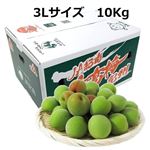 【予約商品】和歌山県産 南高梅（JAわかやま）3Lサイズ 10kg 1箱 【6月14日～6月17日のお受取り】
