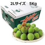 【予約商品】和歌山県産 南高梅（JAわかやま）2Lサイズ 5kg 1箱 【6月14日～6月17日のお受取り】