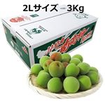 【予約商品】和歌山県産 南高梅（JAわかやま）2Lサイズ 3kg 1箱 【6月14日～6月17日のお受取り】