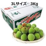 【予約商品】和歌山県産 南高梅（JAわかやま）3Lサイズ 3kg 1箱 【6月14日～6月17日のお受取り】