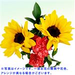 【父の日予約】ひまわりブーケM 1束【置き楽配送指定不可】【6／12～6／15お渡し】