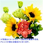 【父の日予約】ひまわりブーケL 1束【置き楽配送指定不可】【6／12～6／15お渡し】