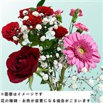 スタッフおまかせ洋花 5本束【置き楽配送指定不可】【12／1～12／3お渡し】