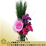 【年末年始ごちそう予約】迎春セット 小 初春（ピンク系）1束【置き楽配送指定不可】【12／28～1／1お渡し】