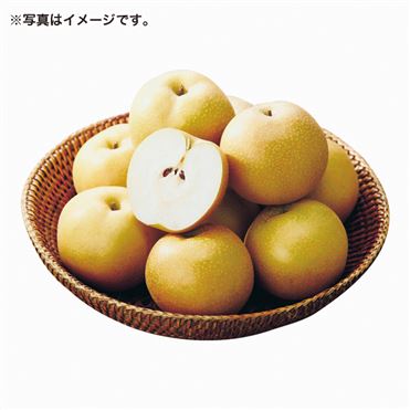 おうちでイオン イオンネットスーパー 予約商品 9月5日 9日の配送 千葉県産 あきづき梨 5kg 12 16玉 入 1箱