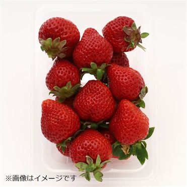 おうちでイオン イオンネットスーパー 福岡県などの国内産 いちご あまおう 250g 1パック