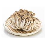 長野県 などの国内産 ぶなしめじ 1袋