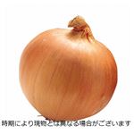 佐賀県 などの国内産 たまねぎ 1個 【6月9日～6月10日のお受取り】