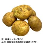 鹿児島県 などの国内産 じゃがいも 大袋 1袋