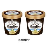 ロッテ レディーボーデンパイントバニラ 470ml 2個セット 【6月12日～6月15日のお受け取り】