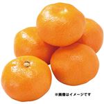 ペルー などの国外産 みかん 1袋