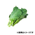 福岡県 などの国内産 つるむらさき 50g 1袋