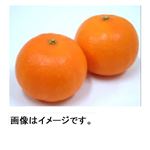 オーストラリア などの国外産 まるでみかんのようなマーコット 1袋