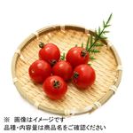 北海道 などの国内産 ミニトマト 1パック