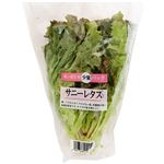 福岡県 などの国内産 サニーレタス 1／2カット 1袋
