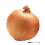 和歌山県 などの国内産 オーガニックたまねぎ 500g 1袋