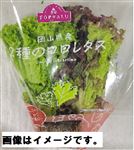 トップバリュ 岡山県 などの国内産 2種のロロレタス 1パック