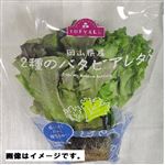 トップバリュ 岡山県 などの国内産 2種のバタビアレタス 1パック