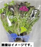 トップバリュ 岡山県 などの国内産 3種のクリスピーレタス 1パック