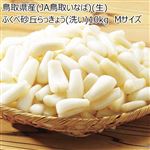 【予約商品】鳥取県産（JA鳥取いなば）（生）ふくべ砂丘らっきょう（洗い）10kg Mサイズ1kg×10袋 【6月14日～6月17日のお受取り】