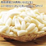 【予約商品】鳥取県産（JA鳥取いなば）（生）ふくべ砂丘らっきょう（洗い）10kg Sサイズ1kg×10袋 【6月14日～6月17日のお受取り】