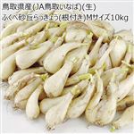 【予約商品】鳥取県産（JA鳥取いなば）（生）ふくべ砂丘らっきょう（根付き）10kg Mサイズ10kg 【6月14日～6月17日のお受取り】