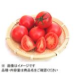 高知県などの国内産 フルーツトマト（夜須）箱 1箱