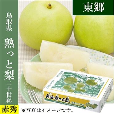 おうちでイオン イオンネットスーパー 予約商品番号3 62 29 2 鳥取県産 Ja鳥取中央 東郷の二十世紀梨 熟っと梨 赤秀5kg2l16玉 お届け期間9 2 9 25