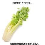 長野県 などの国内産 セロリ 1本 【9月15日～9月16日のお受取り】