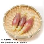 高知県 などの国内産 みょうが 1パック