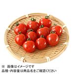 トップバリュ減の恵み 宮崎県 などの国内産 ミニトマト 1パック