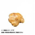 トップバリュ 高知県 などの国内産 しょうが 少量 1袋