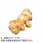 トップバリュ 高知県 などの国内産 しょうが 1袋