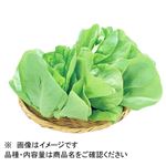 福岡県 などの国内産 サラダ菜 1袋
