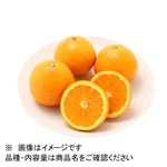 和歌山県などの国内産 清見オレンジ 1袋 【3月20日－23日のお受取り】